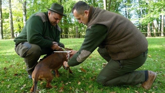 Novým šéfom ochranárov je Roman Fajth