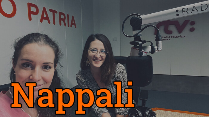 A digitális művészet úttörője: Finta Alexandra inspiráló története