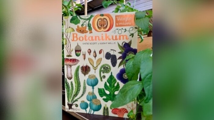 Scott Katie: Botanikum a Animálium