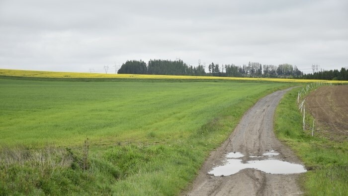 Les terres agricoles les moins chères de l'UE sont en Slovaquie