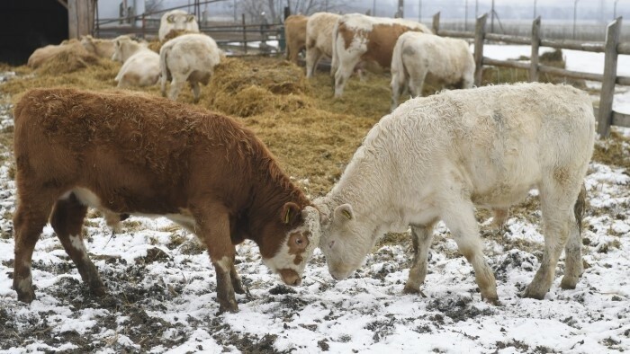Peniaze farmárom v krízových oblastiach
