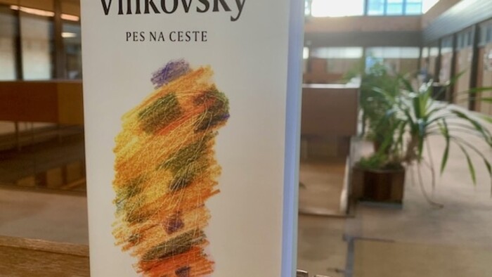 Pavel Vilikovský: Pes na ceste