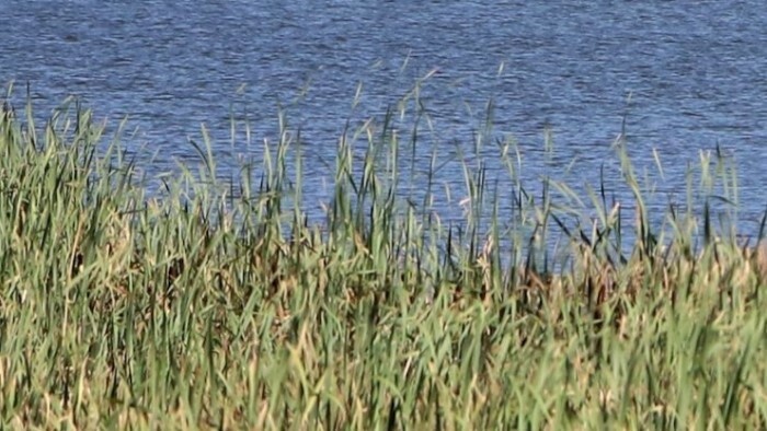 Šalgovské rybníky získali grant 