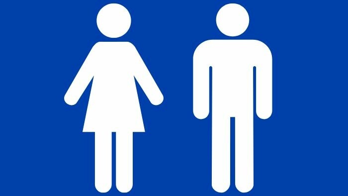 Government approves constitutional amendment defining two sexes