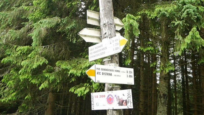 Kto chodí na Demänovskú horu?