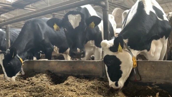 S odstraňovaním zvierat by mohli pomôcť aj väzni