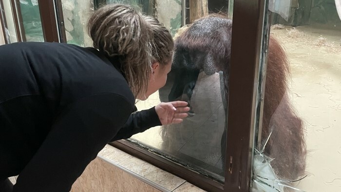 70 ans pour le plus ancien zoo slovaque