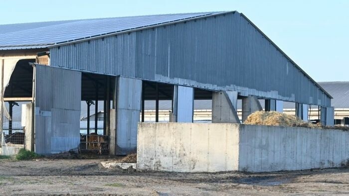 UPDATE: Due to strict measures, no new farms infected with foot-and-mouth 