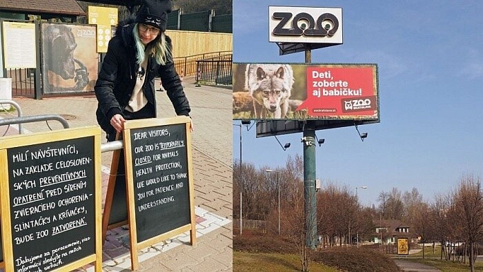 zoo2_Ladislava Hudzovičová.jpg