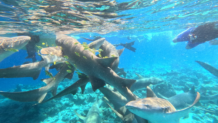 GOPR0115.JPG