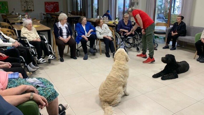 Kanisterapia pomáha seniorom aj deťom