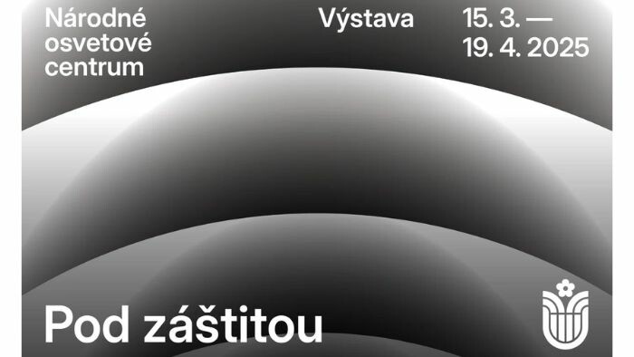 Marianna Brinzová o výstave Pod záštitou