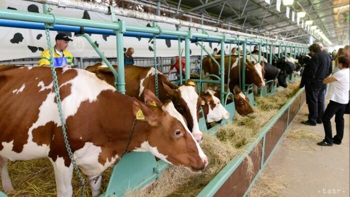 The outbreak of and economic concerns regarding foot-and-mouth disease in Slovakia