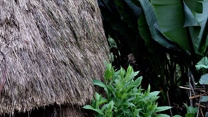 DSCF6015.jpg