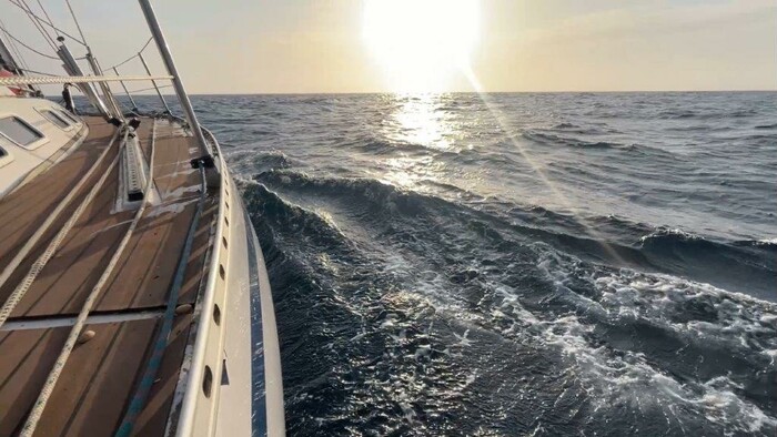 madeira_porvaznik_2.jpg