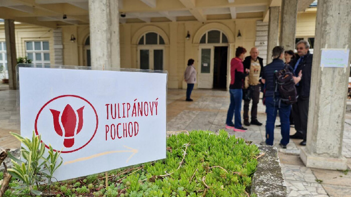Celoslovenský Tulipánový pochod v Piešťanoch podporil parkinsonikov