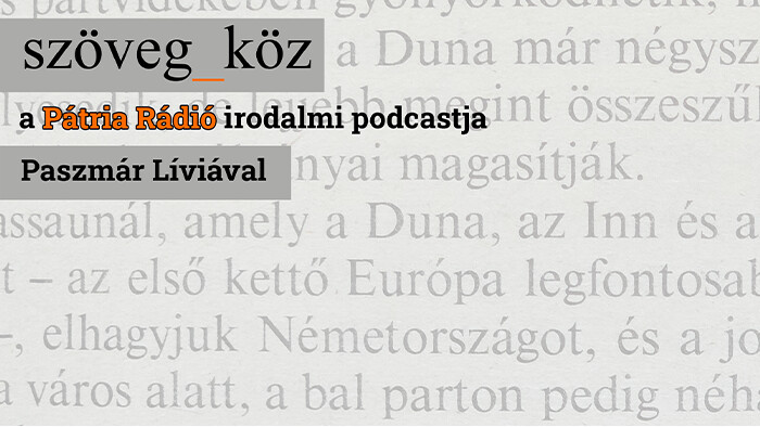 Szöveg-köz - Medzi textami