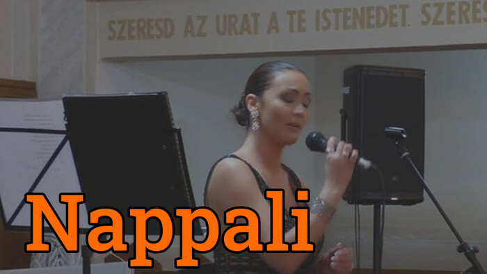 Bodrogköz pacsirtája