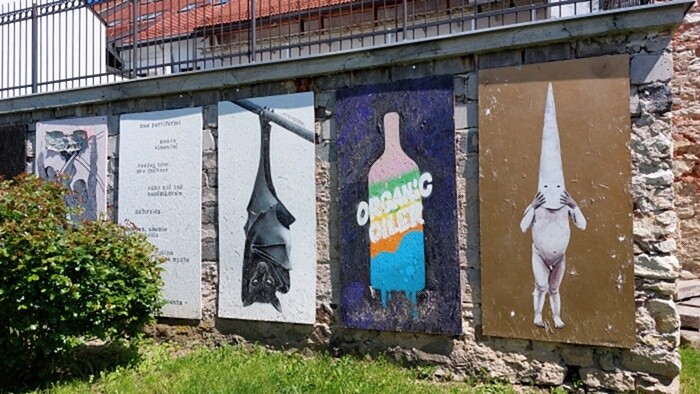 TRANZ-Festivalk_0003_Kay-Zeisberg.jpg