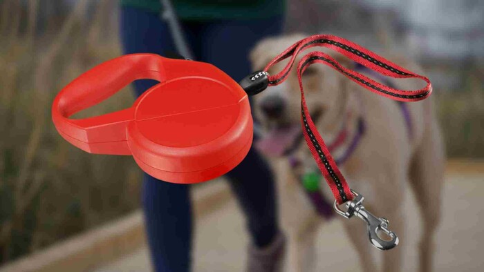Ako pracovať s flexi vodítkom 
