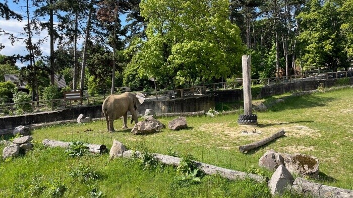 Národná zoologická záhrada v Bojniciach je opäť otvorená