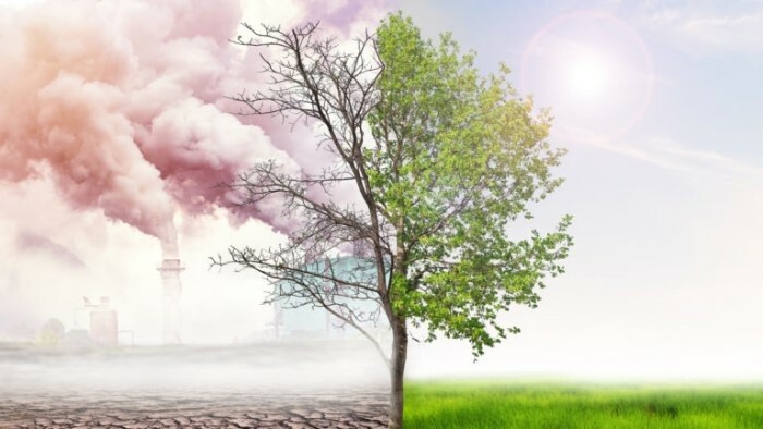 Cambios climáticos en la fruticultura y viticultura