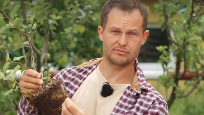 Naučte sa letný rez stromu od Farmárskej revue