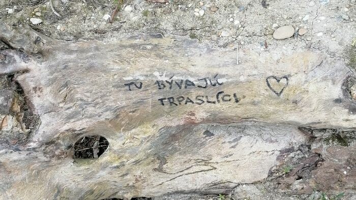 Poézia mesta: Tu bývajú trpaslíci