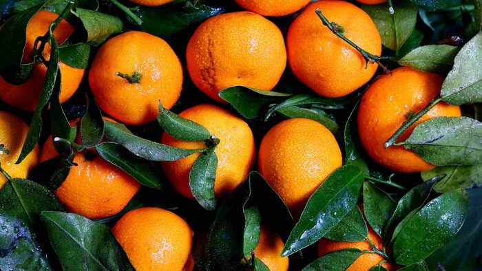 Citrusové ovocie a obsah vitamínov