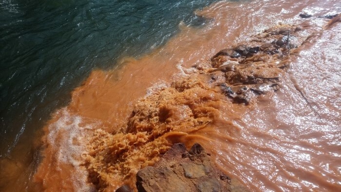 Mit Wissenschaft gegen toxisches Wasser