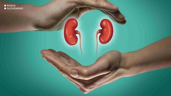 75 rokov od prvej transplantácie obličky na svete