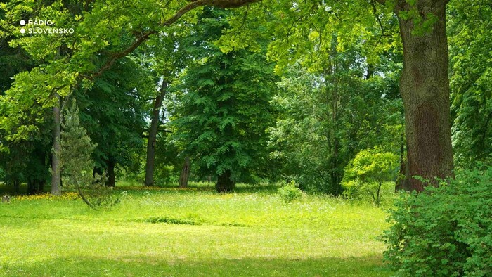 Rádiovíkend 21.6.2025 – pozvánky