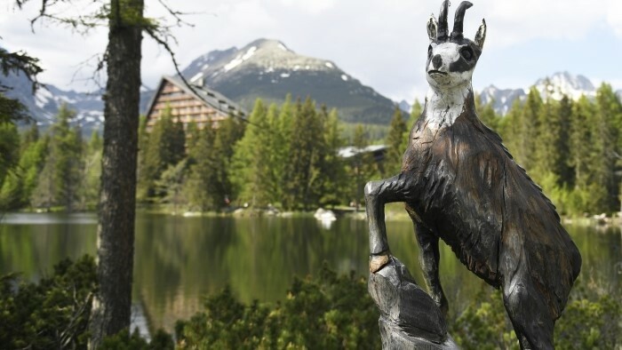 Les chamois des Basses Tatras ont changé de comportement