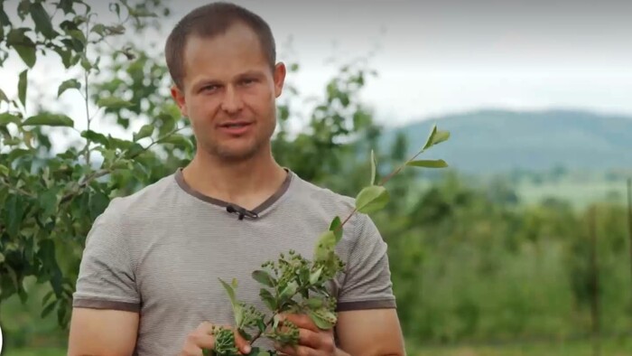 Expert Ľudo Vašš vo Farmárskej revue ukazuje, kedy živorí vaše ovocie
