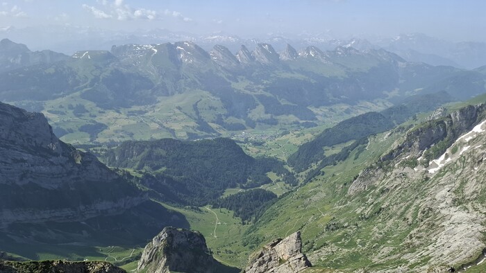 20250614_101204.jpg