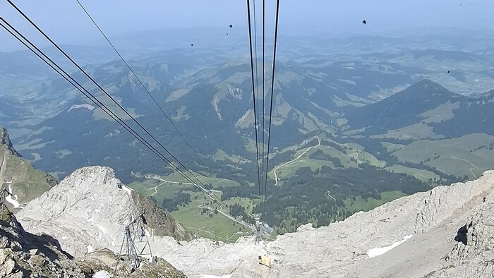 20250614_110133.jpg