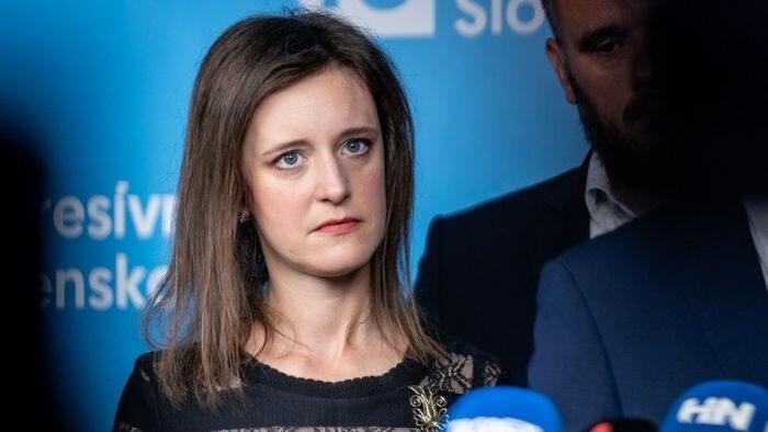 MEP criticises government over storm response in Gelnica