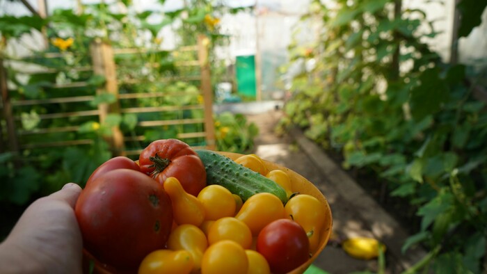 Vo Farmárskej revue ukazujú inšpirácie ako zo známej komédie Zdeňka Trošku, ale fungujú