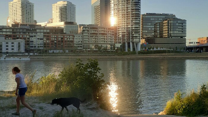 donau_rendl_20250630_212815.jpg