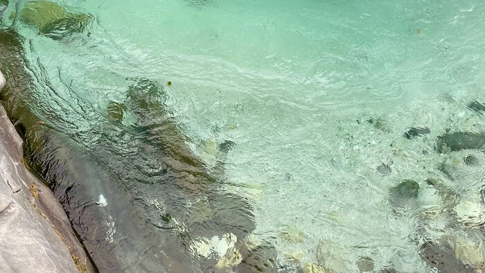 Gregor-Mareš-na-splave