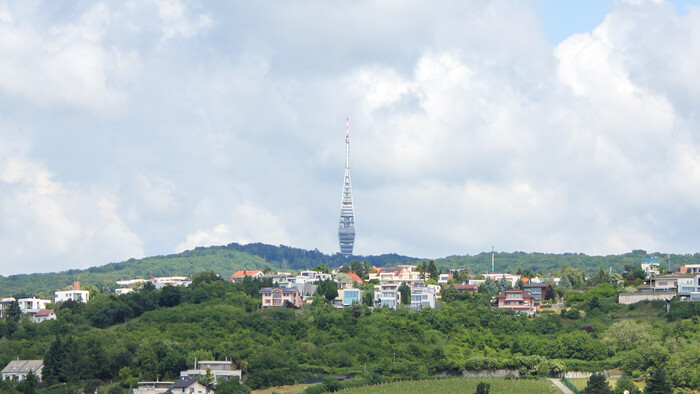 IMG_8829.jpg