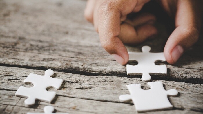 Zamyslenie/Puzzle