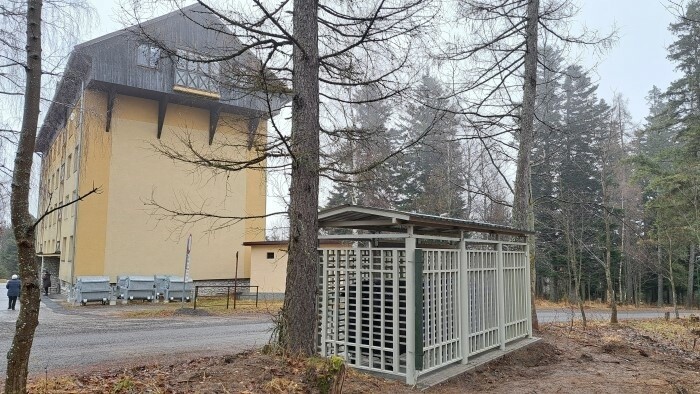 Desde principios de año, la población de osos pardos en Eslovaquia se ha reducido en 79 ejemplares