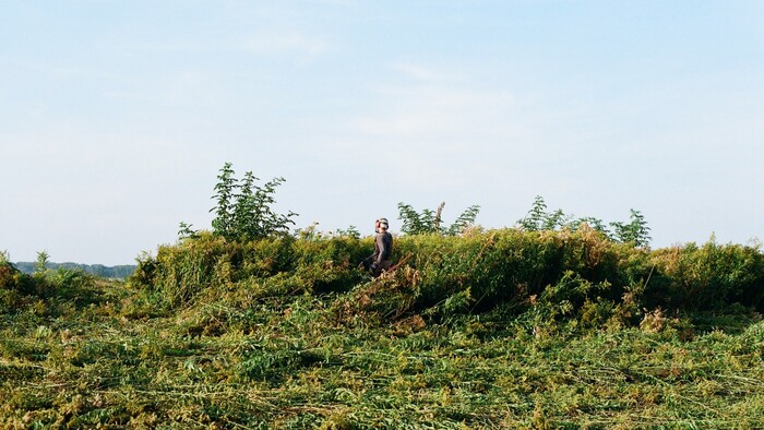 vtáčí ostrov 8.jpg