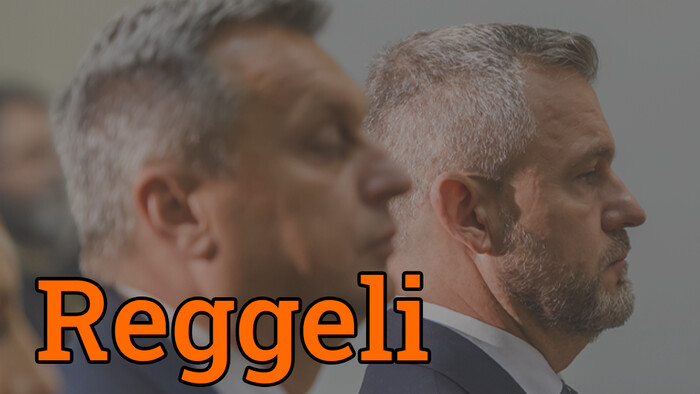 A csehek szerint a szlovákok hátba szúrták őket, Danko pedig már törvénymódosítással támadná Pellegrinit