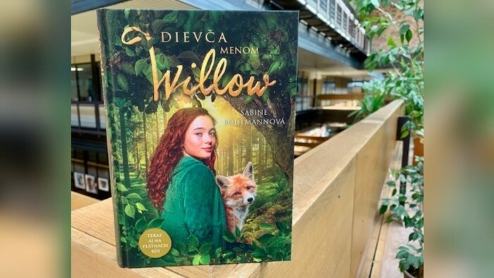 Sabine Bohlmann: Dievča menom Willow