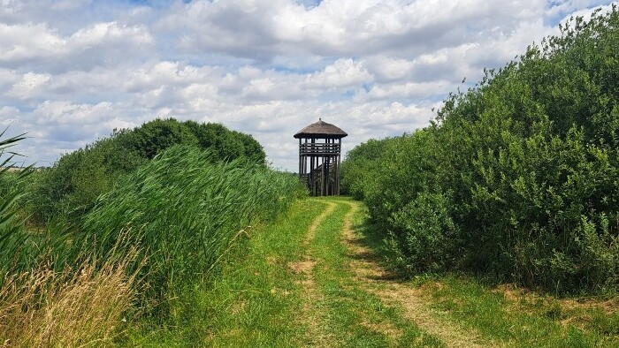 parizske mociare (1).jpg