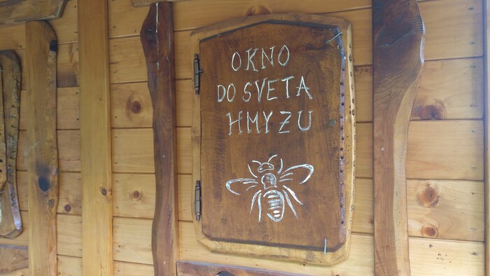 Snímka 14.jpg