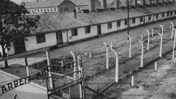 Remembering the 3,000 Roma Killed at Auschwitz-Birkenau, 81 Years Later