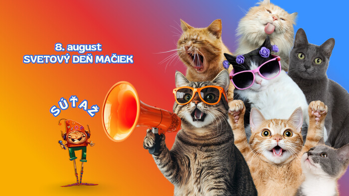 Oslávte s nami Medzinárodný deň mačiek! 